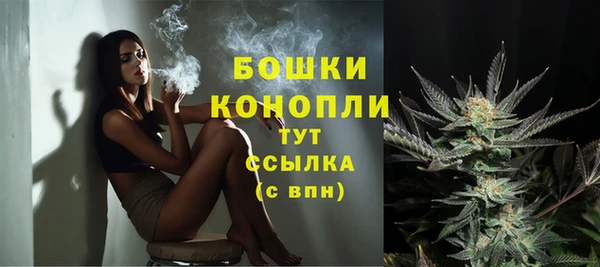 прущие крисы Карпинск
