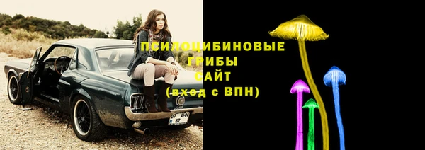 Альфа ПВП Касимов