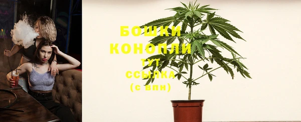 прущие крисы Карпинск