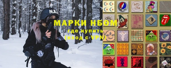 гашик Болотное