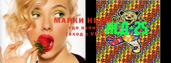 прущие крисы Карпинск