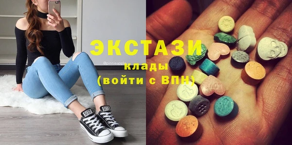 гашик Болотное