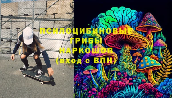 Альфа ПВП Касимов